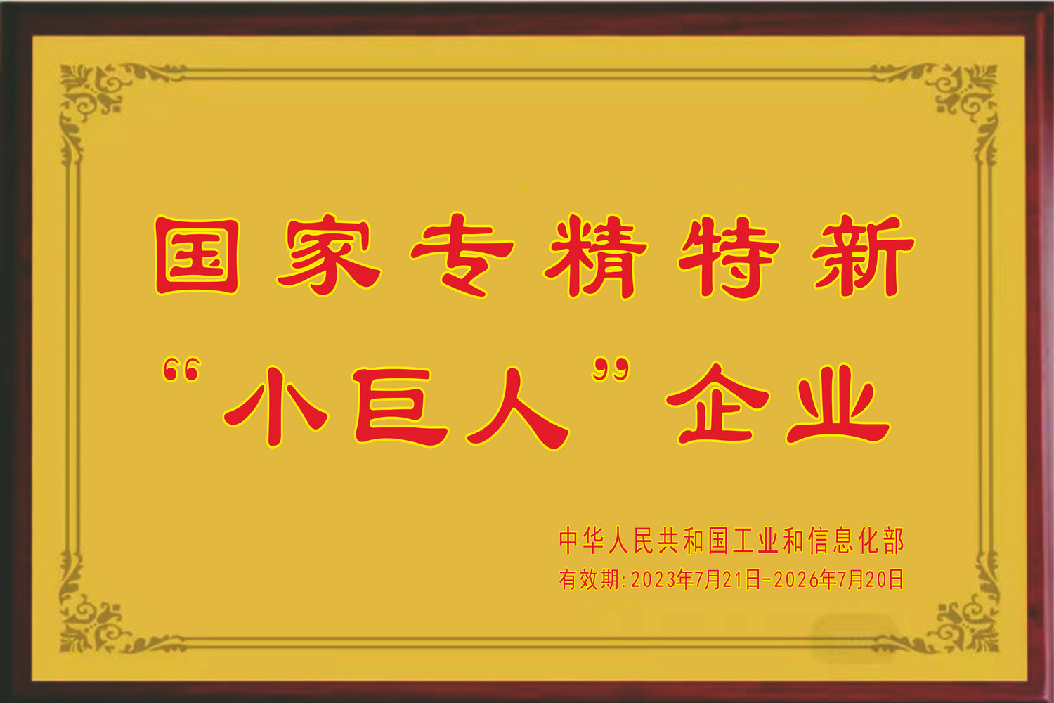 國家專精特新